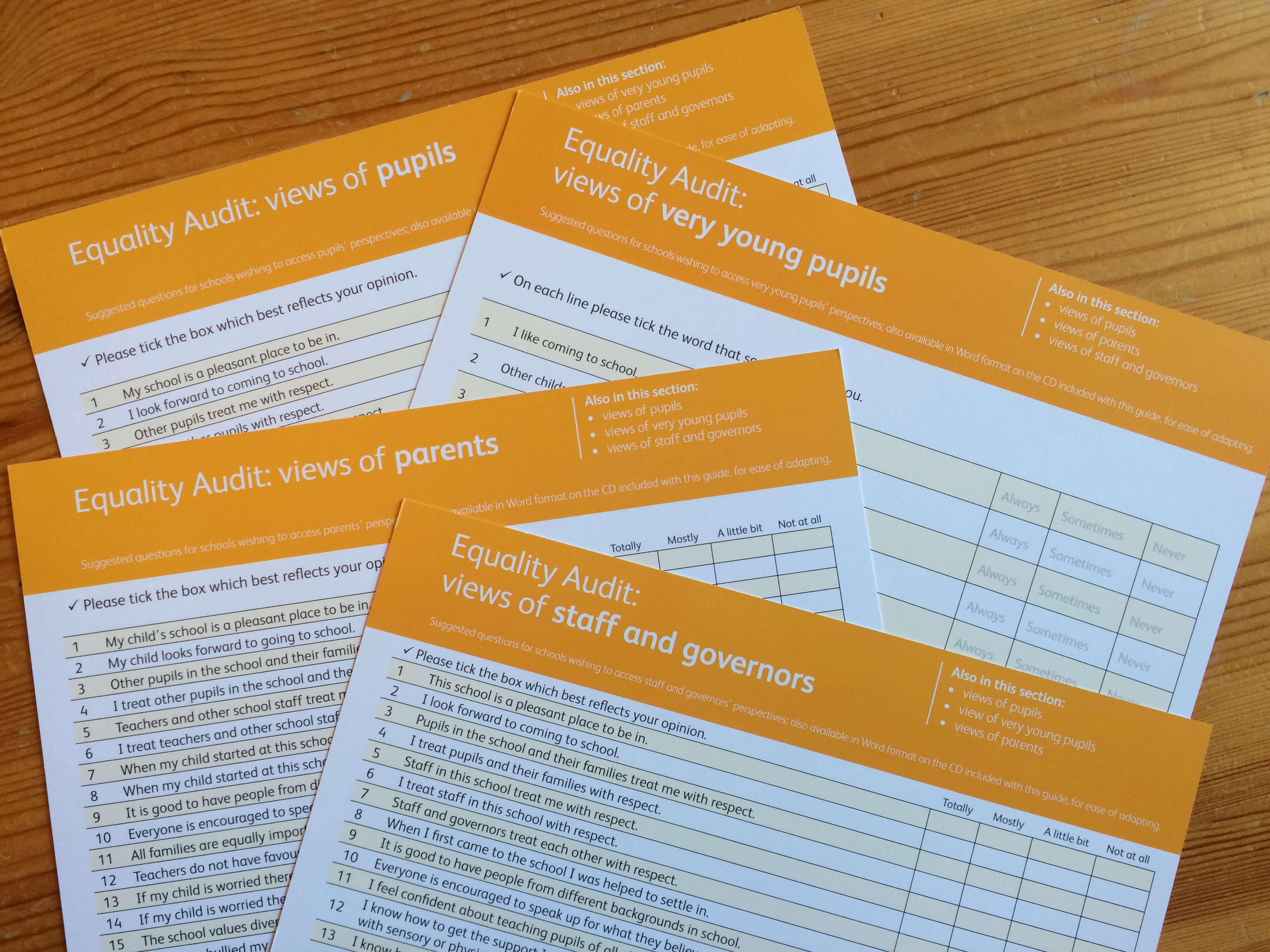 Equality Audit Equality Audits
